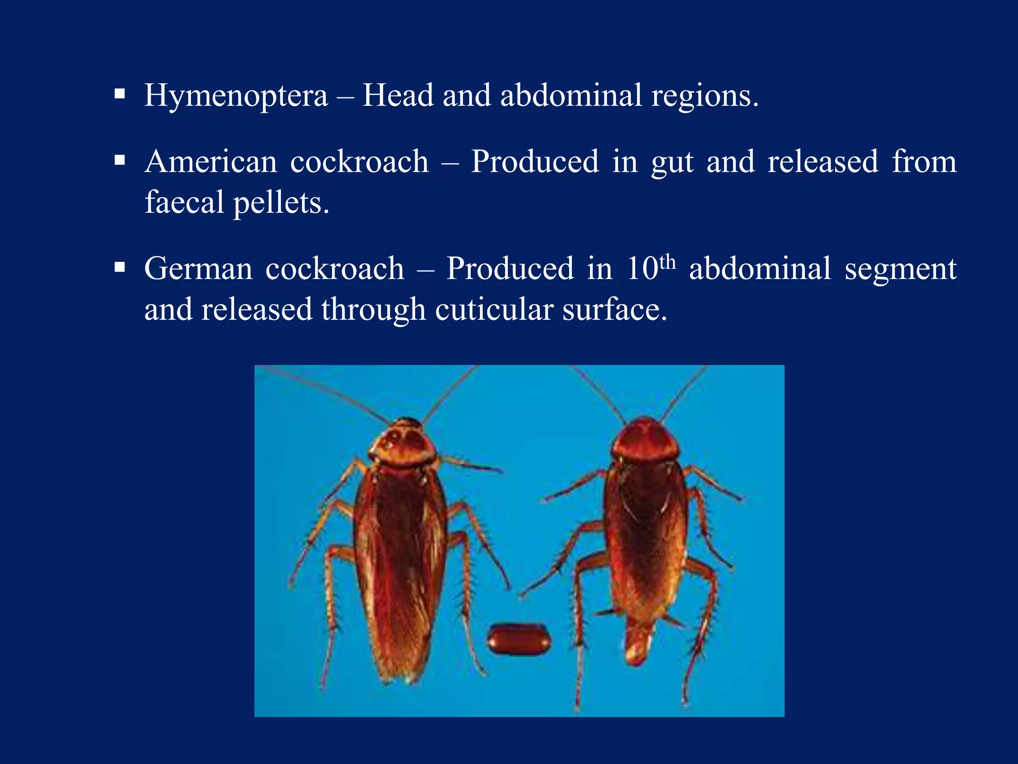  Hymenoptera – Head and abdominal regions.
 American cockroach – Produced in gut and released from
faecal pellets.
 German cockroach – Produced in 10th abdominal segment
and released through cuticular surface.
 