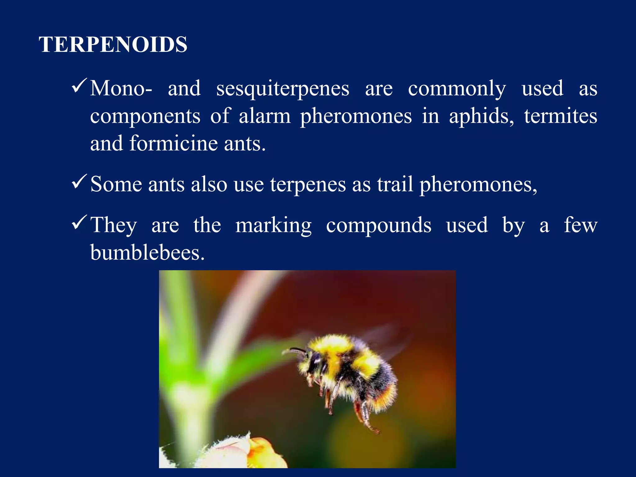 TERPENOIDS
Mono- and sesquiterpenes are commonly used as
components of alarm pheromones in aphids, termites
and formicine ants.
Some ants also use terpenes as trail pheromones,
They are the marking compounds used by a few
bumblebees.
 
