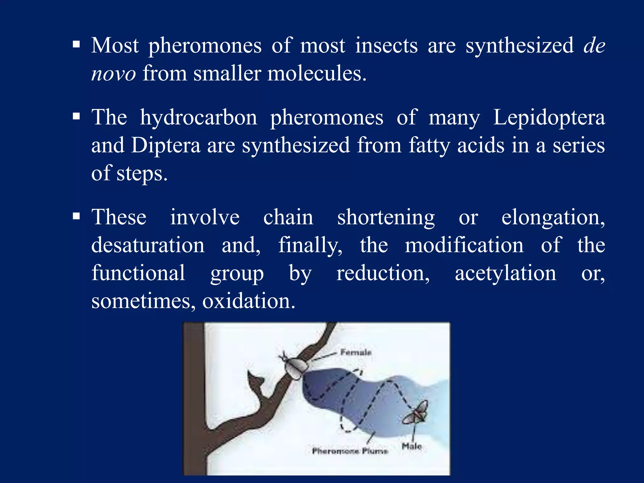  Most pheromones of most insects are synthesized de
novo from smaller molecules.
 The hydrocarbon pheromones of many Lepidoptera
and Diptera are synthesized from fatty acids in a series
of steps.
 These involve chain shortening or elongation,
desaturation and, finally, the modification of the
functional group by reduction, acetylation or,
sometimes, oxidation.
 