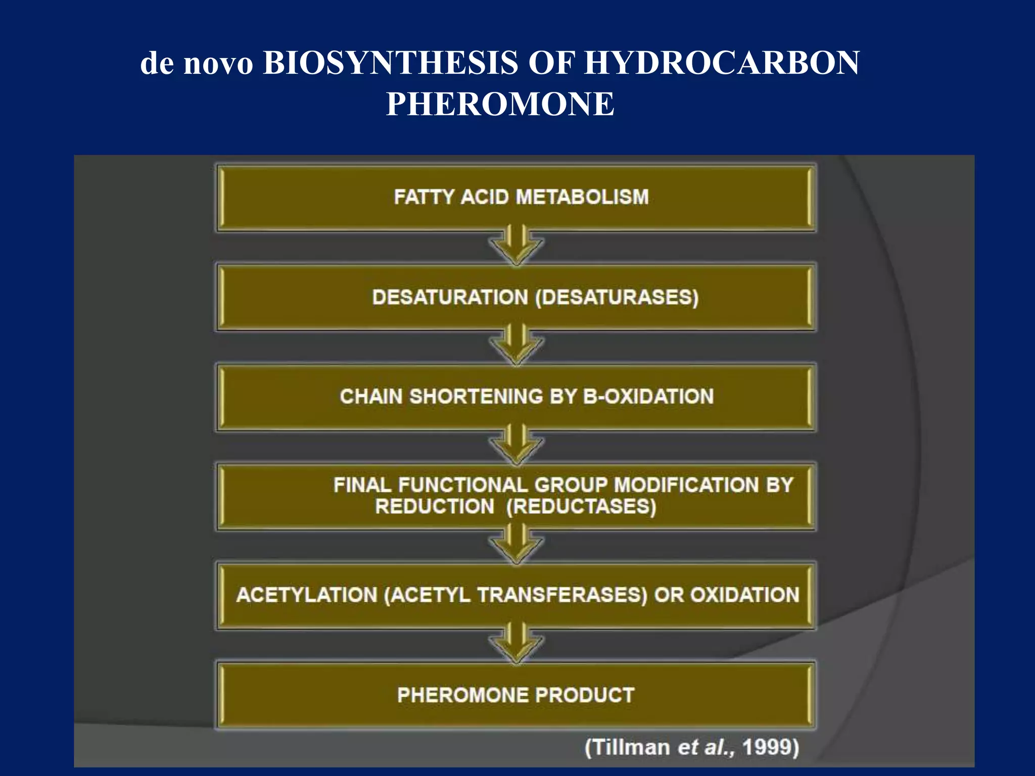 de novo BIOSYNTHESIS OF HYDROCARBON
PHEROMONE
 