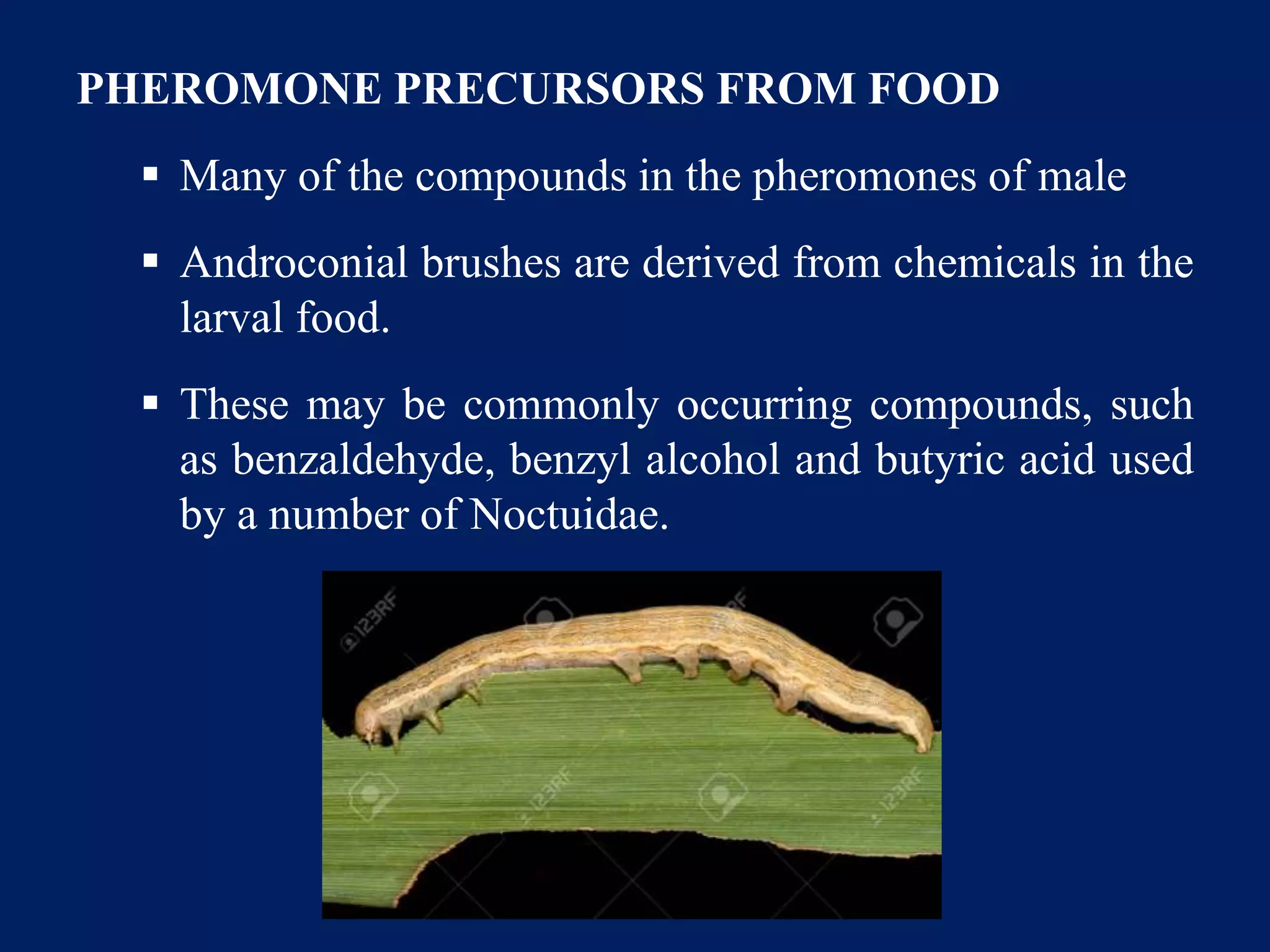 PHEROMONE PRECURSORS FROM FOOD
 Many of the compounds in the pheromones of male
 Androconial brushes are derived from chemicals in the
larval food.
 These may be commonly occurring compounds, such
as benzaldehyde, benzyl alcohol and butyric acid used
by a number of Noctuidae.
 