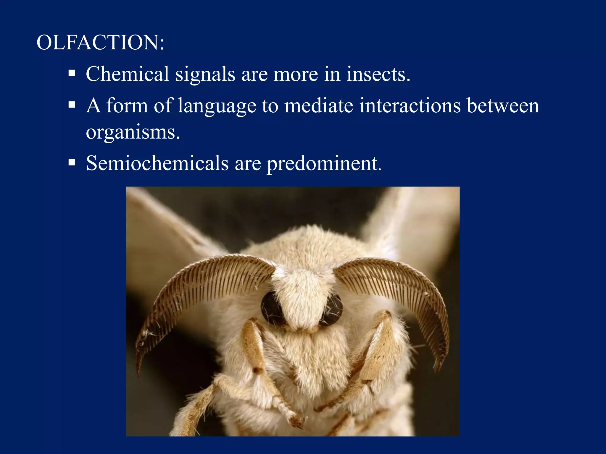 OLFACTION:
 Chemical signals are more in insects.
 A form of language to mediate interactions between
organisms.
 Semiochemicals are predominent.
 