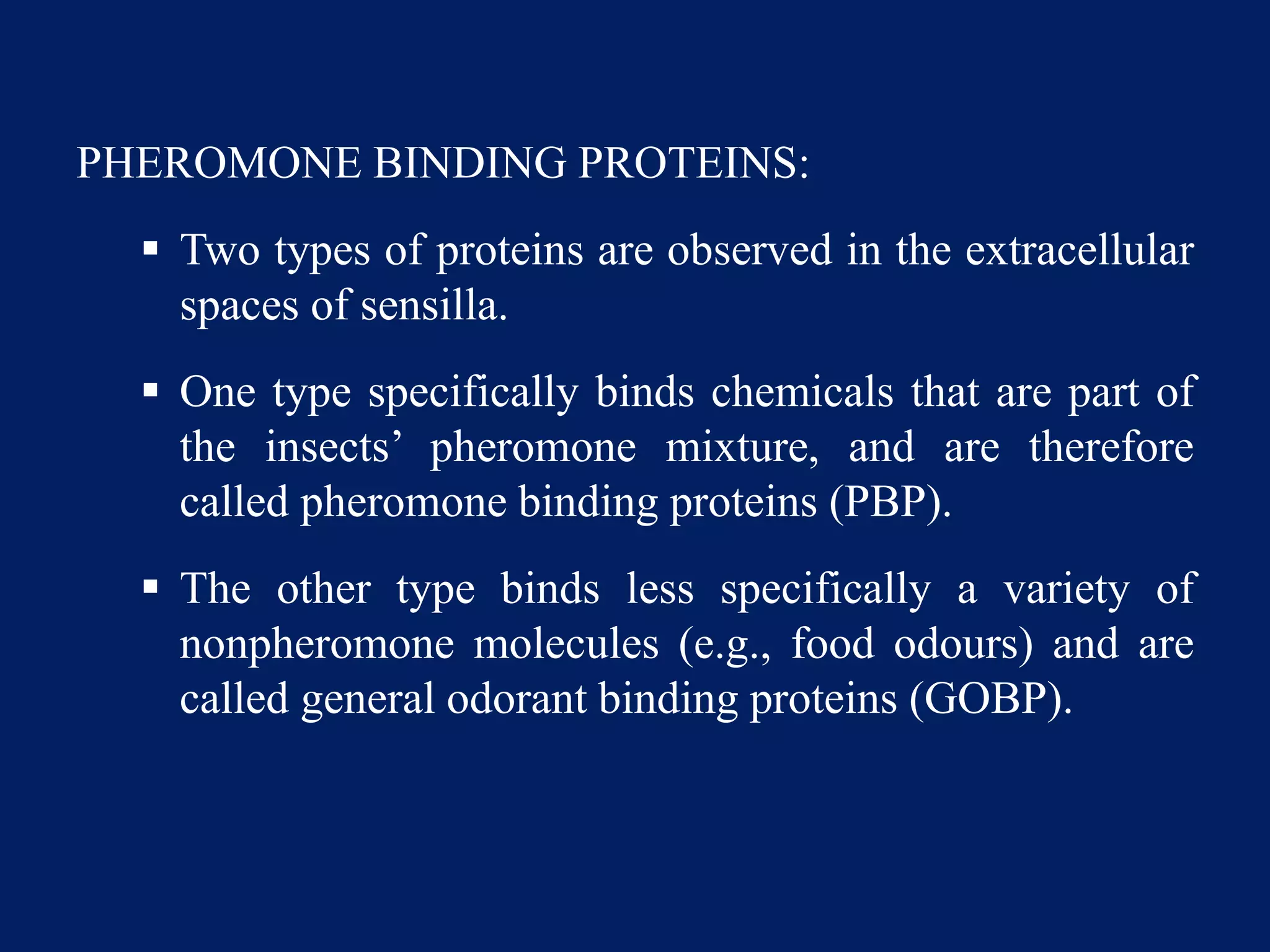 PHEROMONE BINDING PROTEINS:
 Two types of proteins are observed in the extracellular
spaces of sensilla.
 One type specifically binds chemicals that are part of
the insects’ pheromone mixture, and are therefore
called pheromone binding proteins (PBP).
 The other type binds less specifically a variety of
nonpheromone molecules (e.g., food odours) and are
called general odorant binding proteins (GOBP).
 