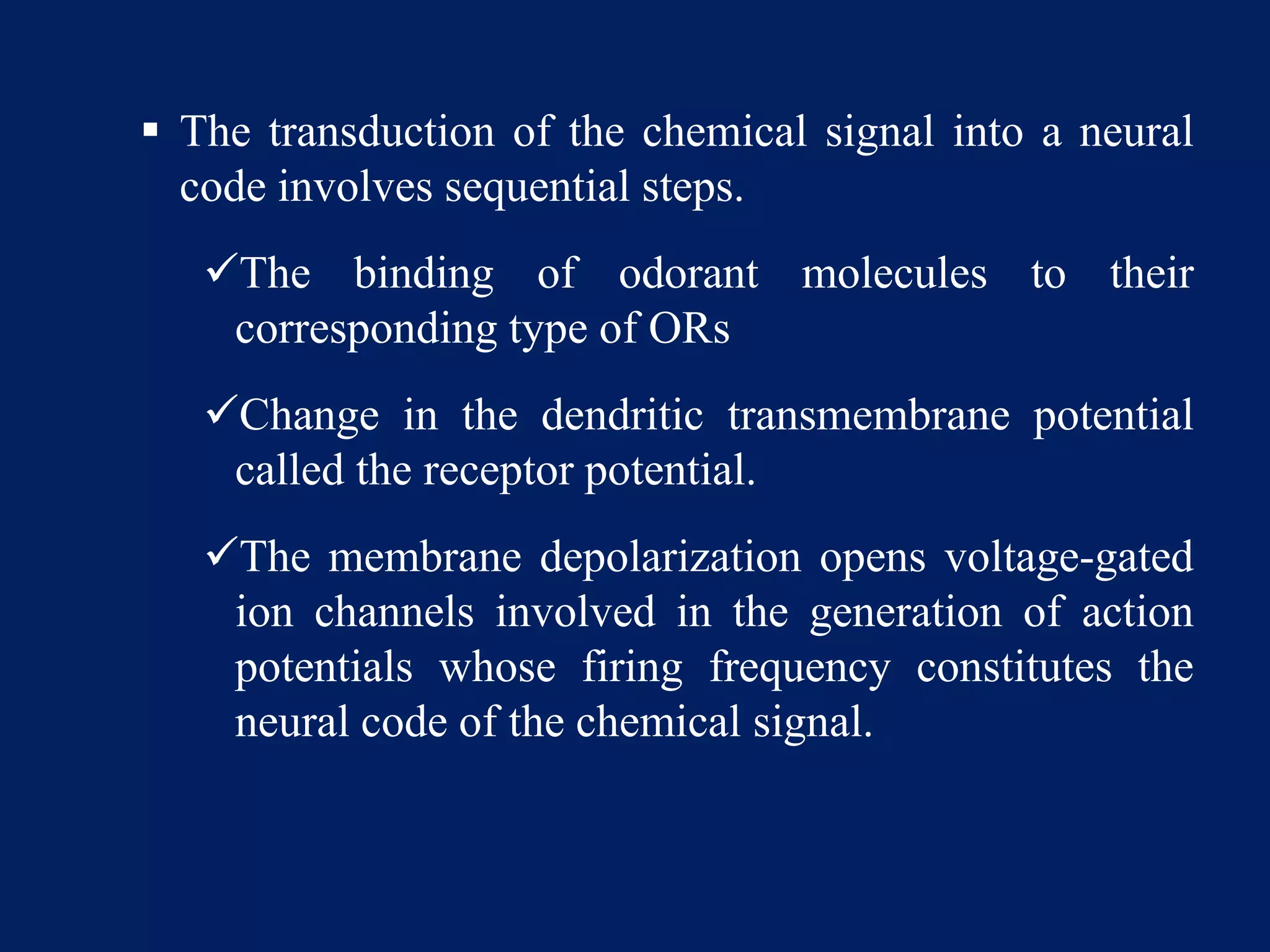  The transduction of the chemical signal into a neural
code involves sequential steps.
The binding of odorant molecules to their
corresponding type of ORs
Change in the dendritic transmembrane potential
called the receptor potential.
The membrane depolarization opens voltage-gated
ion channels involved in the generation of action
potentials whose firing frequency constitutes the
neural code of the chemical signal.
 