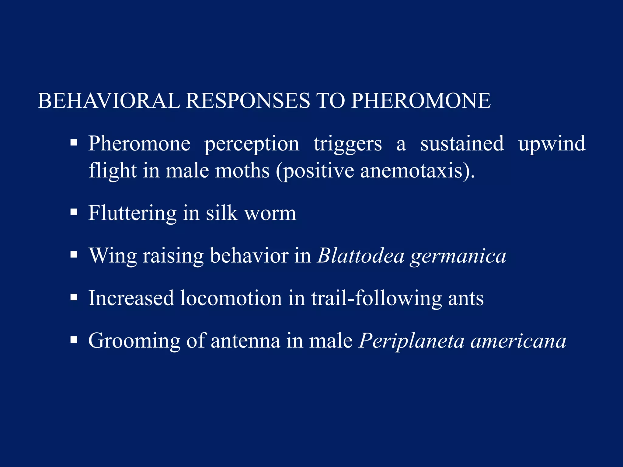 BEHAVIORAL RESPONSES TO PHEROMONE
 Pheromone perception triggers a sustained upwind
flight in male moths (positive anemotaxis).
 Fluttering in silk worm
 Wing raising behavior in Blattodea germanica
 Increased locomotion in trail-following ants
 Grooming of antenna in male Periplaneta americana
 