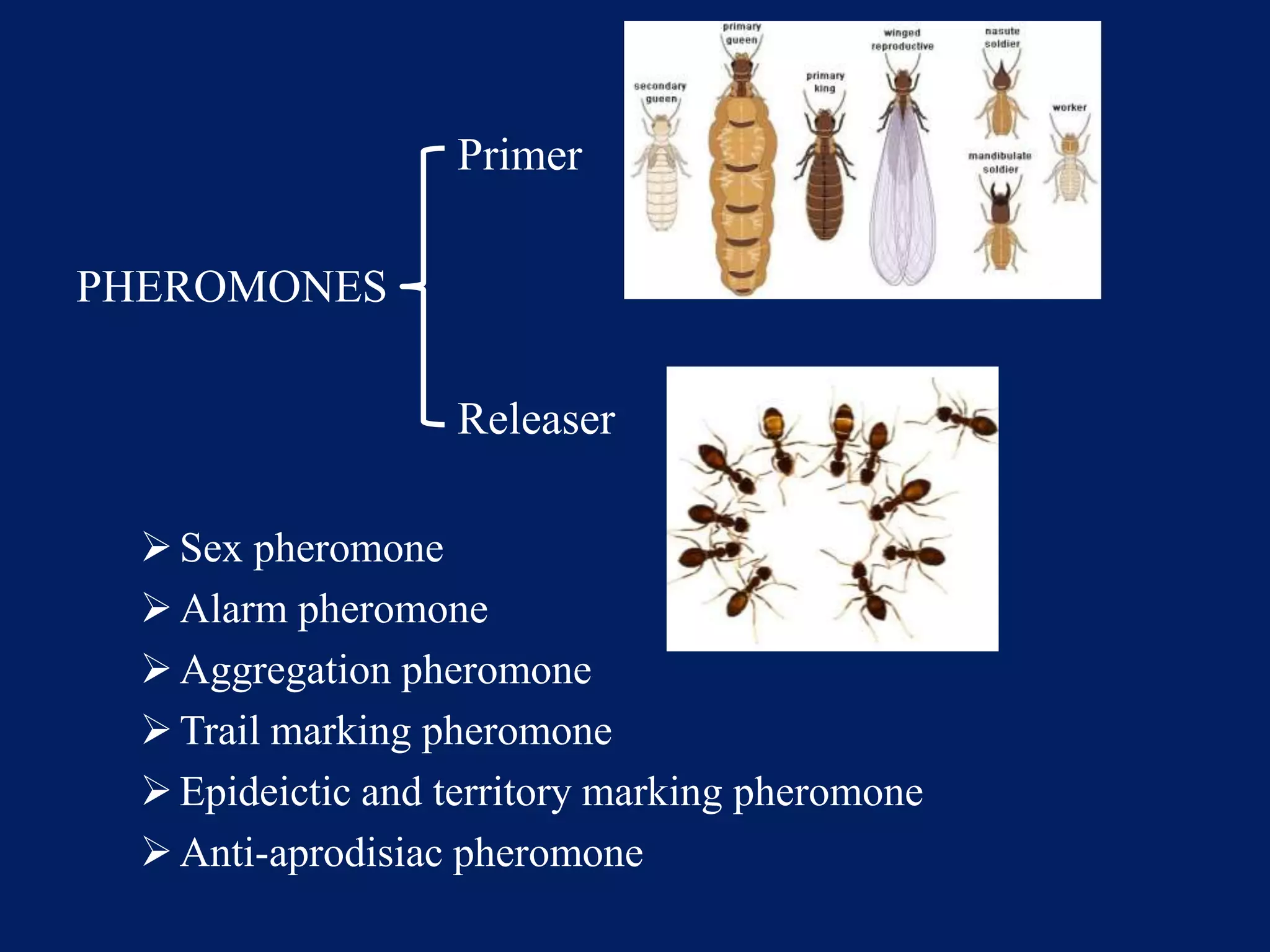 Primer
PHEROMONES
Releaser
Sex pheromone
Alarm pheromone
Aggregation pheromone
Trail marking pheromone
Epideictic and territory marking pheromone
Anti-aprodisiac pheromone
 