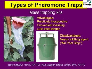 Types of Pheromone Traps Mass trapping kits Lure supply:  Trece, APTIV;  trap supply:  Great Lakes IPM, APTIV Advantages: Relatively inexpensive Convenient cleaning Lure lasts longer Disadvantages: Needs a killing agent (“No Pest Strip”) 