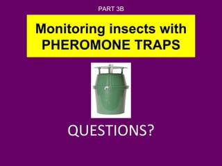 Monitoring insects with PHEROMONE TRAPS QUESTIONS? PART 3B 