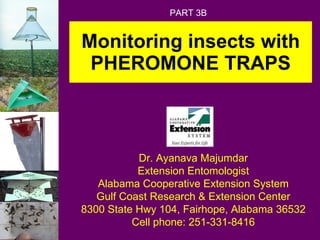 Monitoring insects with PHEROMONE TRAPS Dr. Ayanava Majumdar Extension Entomologist Alabama Cooperative Extension System Gulf Coast Research & Extension Center 8300 State Hwy 104, Fairhope, Alabama 36532 Cell phone: 251-331-8416 PART 3B 