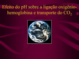 Efeito do pH sobre a ligação oxigênio-
hemoglobina e transporte do CO2
 