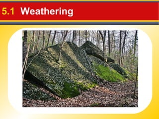 Chemical Weathering
5.1 Weathering
 5 Agents of Chemical Weathering
1. Water – Water dissolves rock.
2. Oxygen – Chemically changes rock
through a process called Oxidation.
3. Carbon Dioxide – forms carbonic acid.
4. Living Organisms -
 