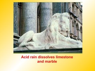 Acid rain dissolves limestone
and marble
 