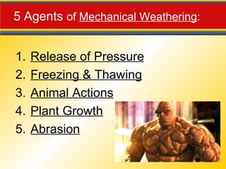 5 Agents of Mechanical Weathering:
1. Release of Pressure
2. Freezing & Thawing
3. Animal Actions
4. Plant Growth
5. Abrasion
 