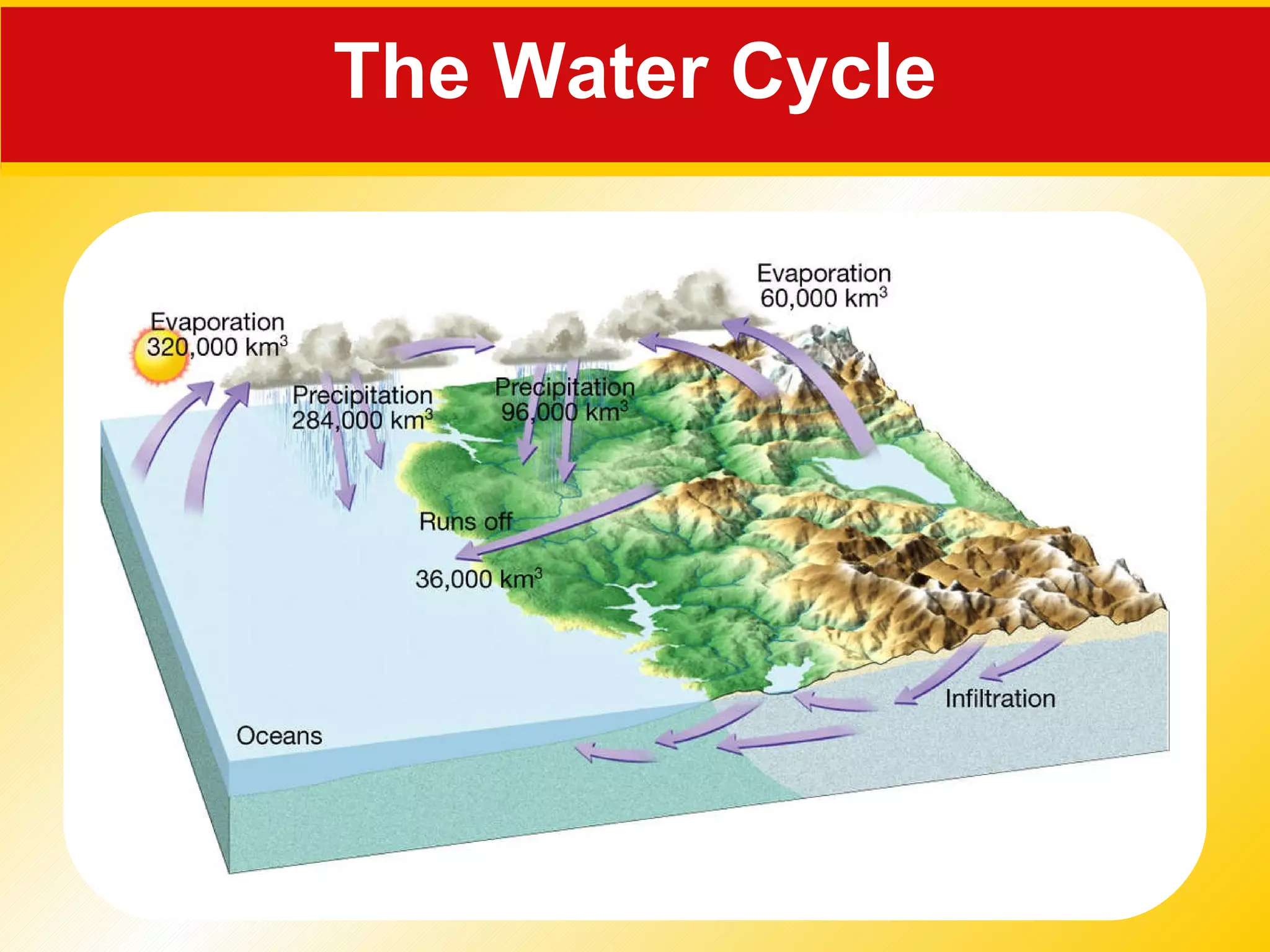 The Water Cycle 