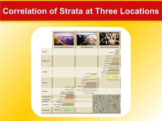 Correlation of Strata at Three Locations
 