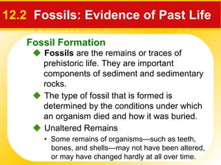 Fossil Formation
12.2 Fossils: Evidence of Past Life
 Fossils are the remains or traces of
prehistoric life. They are important
components of sediment and sedimentary
rocks.
• Some remains of organisms—such as teeth,
bones, and shells—may not have been altered,
or may have changed hardly at all over time.
 The type of fossil that is formed is
determined by the conditions under which
an organism died and how it was buried.
 Unaltered Remains
 