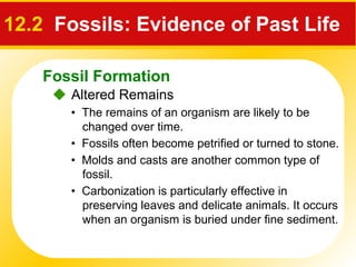 Fossil Formation
12.2 Fossils: Evidence of Past Life
 Altered Remains
• The remains of an organism are likely to be
changed over time.
• Fossils often become petrified or turned to stone.
• Molds and casts are another common type of
fossil.
• Carbonization is particularly effective in
preserving leaves and delicate animals. It occurs
when an organism is buried under fine sediment.
 