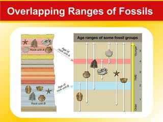 Overlapping Ranges of Fossils
 