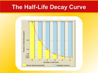 The Half-Life Decay Curve
 