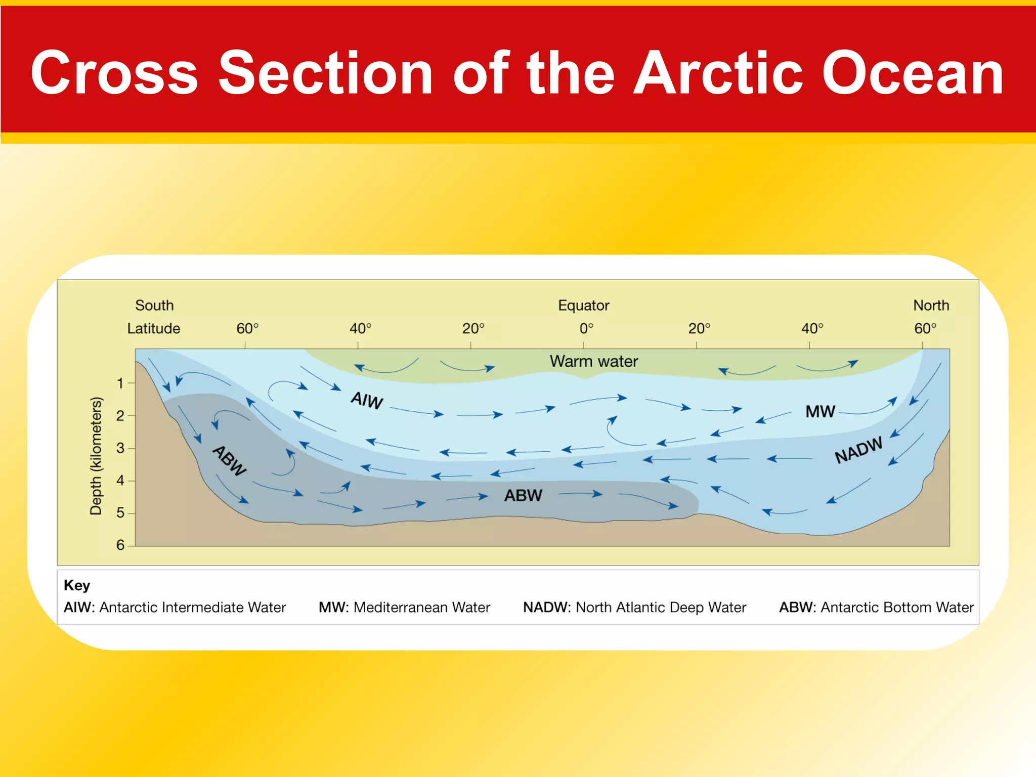 Cross Section of the Arctic Ocean
 