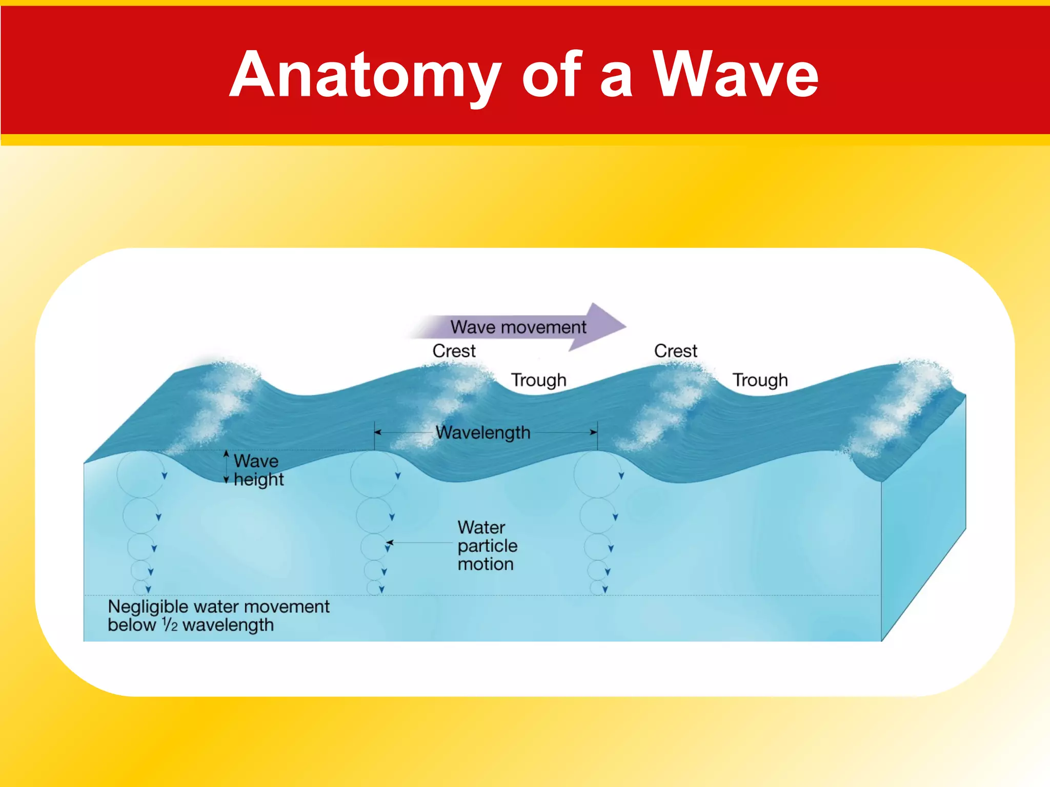 Anatomy of a Wave
 