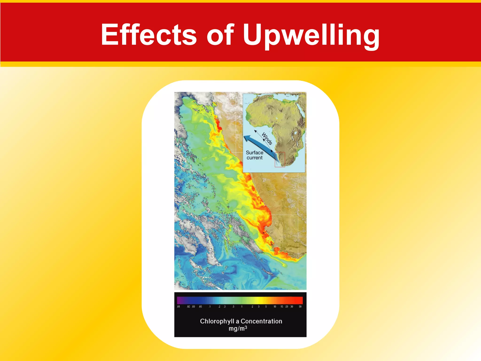Effects of Upwelling
 