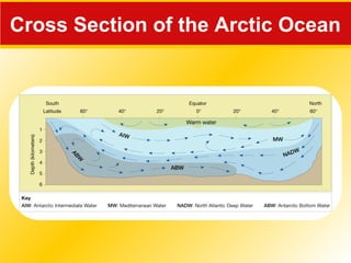 Cross Section of the Arctic Ocean
 