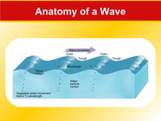 Anatomy of a Wave
 