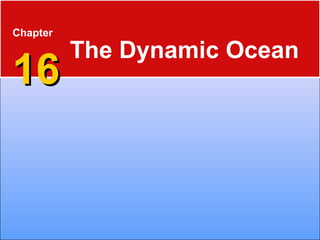 Chapter
1616
The Dynamic Ocean
 