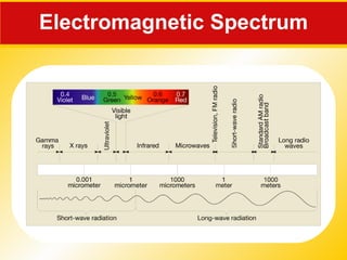 Electromagnetic Spectrum 