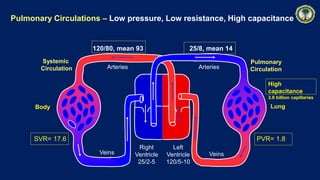 Pulmonary Circulations – Low pressure, Low resistance, High capacitance
Pulmonary
Circulation
Systemic
Circulation Arteries Arteries
Veins Veins
120/80, mean 93 25/8, mean 14
Right
Ventricle
25/2-5
Left
Ventricle
120/5-10
LungBody
SVR= 17.6 PVR= 1.8
High
capacitance
3.8 billion capillaries
 