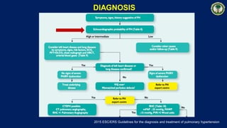 2015 ESC/ERS Guidelines for the diagnosis and treatment of pulmonary hypertension
DIAGNOSIS
 