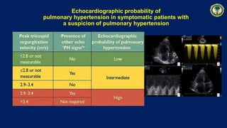 Echocardiographic probability of
pulmonary hypertension in symptomatic patients with
a suspicion of pulmonary hypertension
 