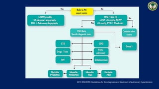 2015 ESC/ERS Guidelines for the diagnosis and treatment of pulmonary hypertension
 