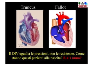 Truncus                Fallot




Il DIV egualia le pressioni, non le resistenze. Come
   stanno questi pazienti alla nascita? E a 1 anno?
 
