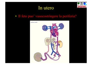 In utero
•  Il feto puo’ vasocostringere la periferia?
 