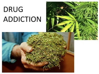 DRUG
ADDICTION
 