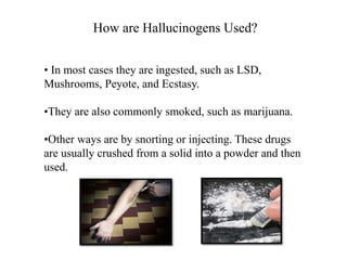 How are Hallucinogens Used?
• In most cases they are ingested, such as LSD,
Mushrooms, Peyote, and Ecstasy.
•They are also...