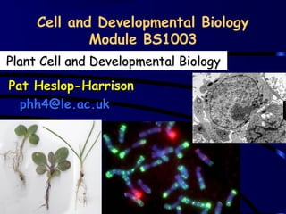 Cell and Developmental Biology
Module BS1003
Plant Cell and Developmental Biology
Pat Heslop-Harrison
phh4@le.ac.uk

 