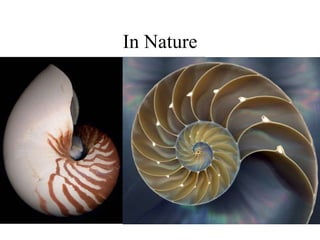 In Nature 