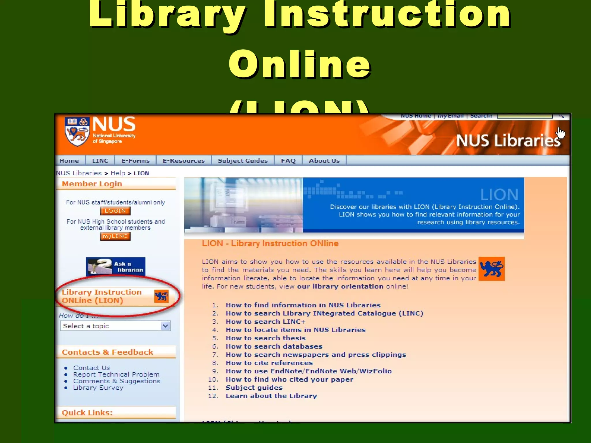 Library Instruction Online (LION) 