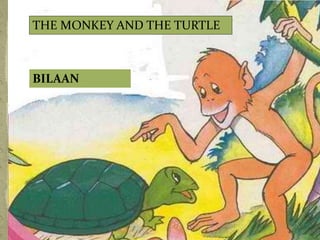 THE MONKEY AND THE TURTLE
BILAAN
 