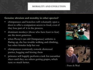 MORALITY AND EVOLUTION



Genuine altruism and morality in other species?
• chimpanzees and bonobos will voluntarily open a
  door to offer a companion access to food, even if
  they lose part of it in the process.
• dominant monkeys (those who have least to fear)
  are the most generous.
• when Peony’s (an old Chimpanzee) arthritis is
  flaring up, she has trouble walking and climbing,
  but other females help her out
• chimpanzees commonly console distressed
  parties, hugging and kissing them
• primates will happily perform a task for cucumber
  slices until they see others getting grapes, which
  taste so much better.
                                                       - Frans de Waal
 
