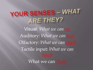 Your Senses – What Are They? Visual: What we can see Auditory: What we can hear Olfactory: What we can smell Tactile input: What we can touch What we can Taste 