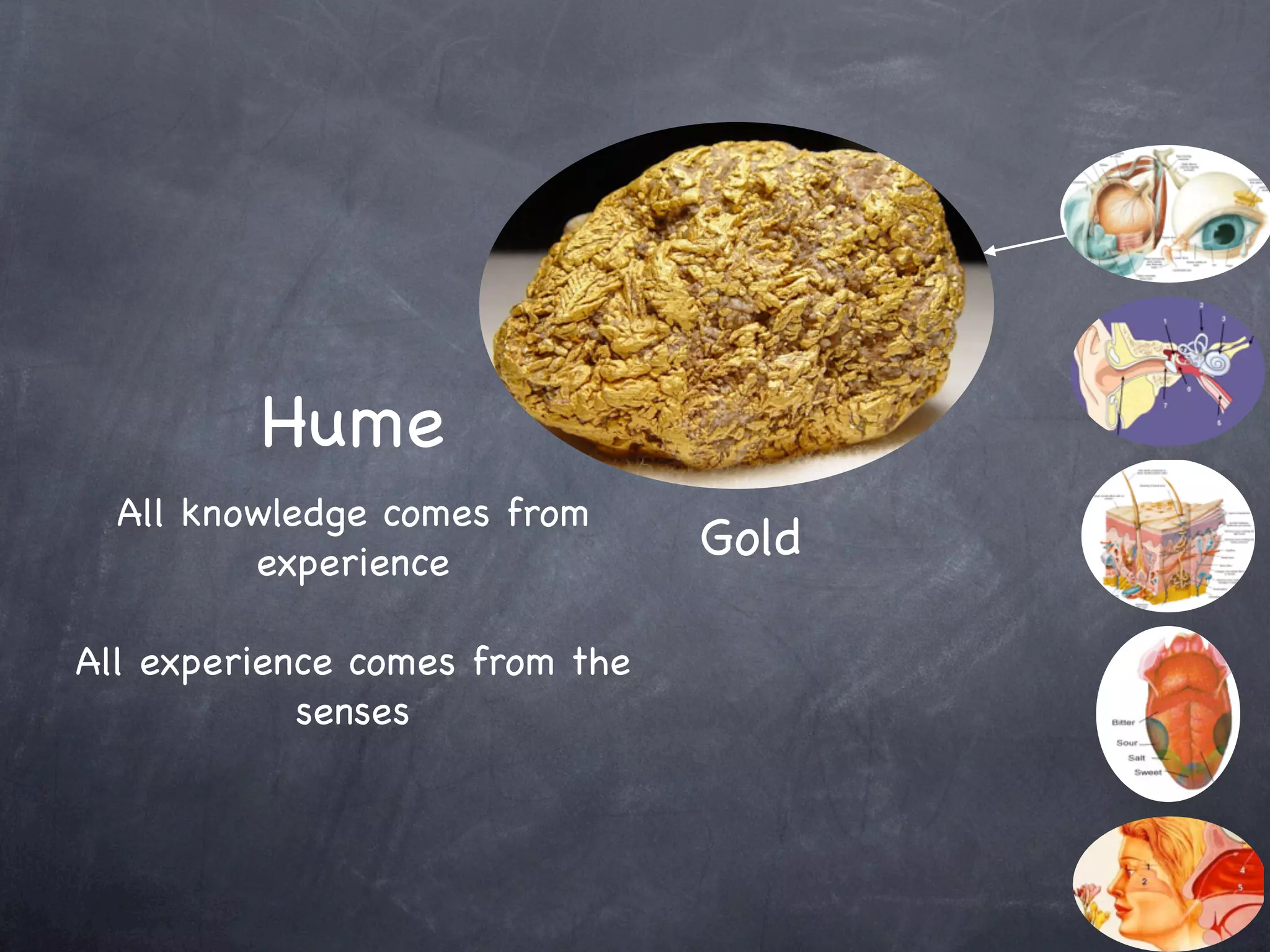 Hume
  All knowledge comes from
         experience
                                Gold

All experience comes from the
            senses
 