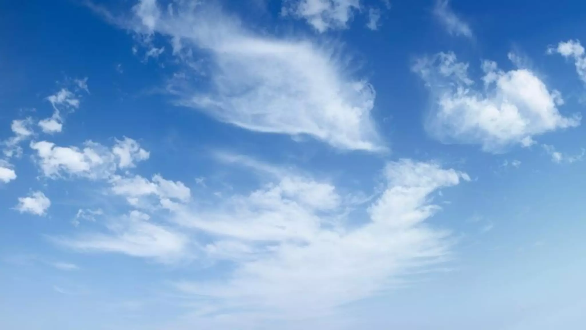 IDC Private & Confidential
 