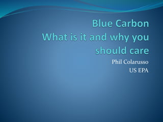 Phil Colarusso
US EPA
 