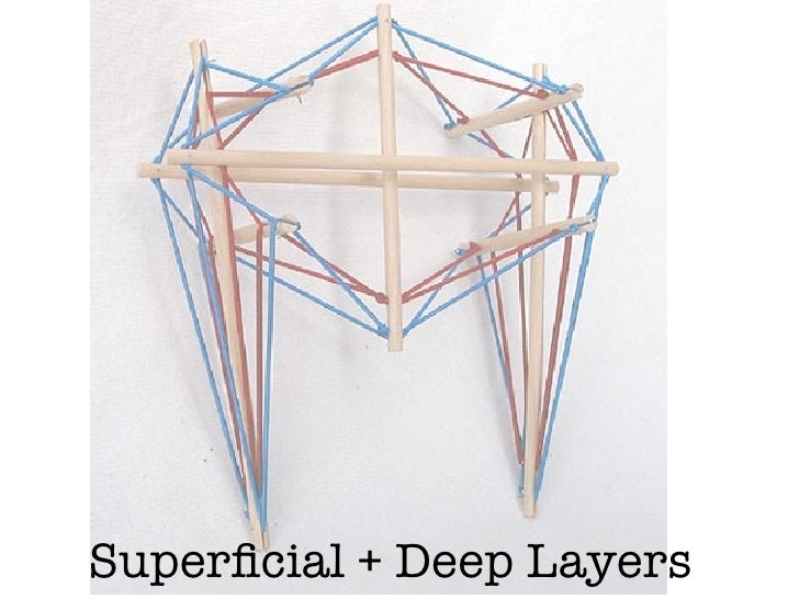 Floating Bones 102 Rules for LooselyCoupled Structures (Like You)