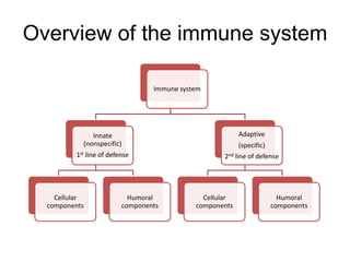 Overview of the immune system
Immune system
Innate
(nonspecific)
1st line of defense
Cellular
components
Humoral
components
Adaptive
(specific)
2nd line of defense
Cellular
components
Humoral
components
 