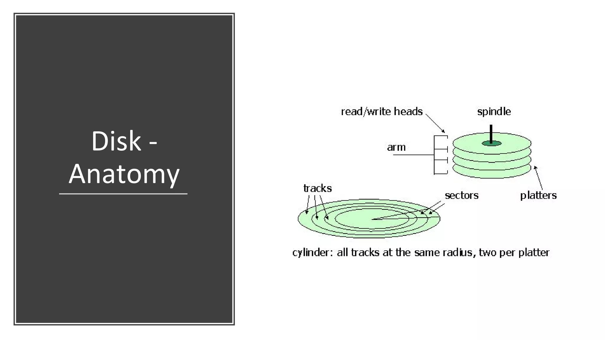Disk -
Anatomy
 